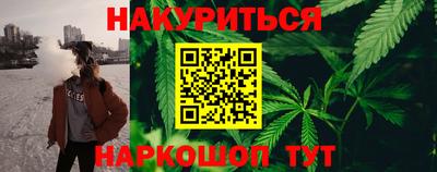 apvp Кингисепп