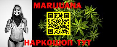 apvp Кингисепп