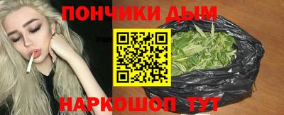 apvp Кингисепп