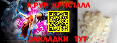 apvp Кингисепп
