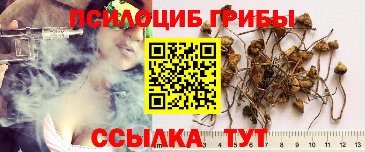 Галлюциногенные грибы Cubensis Владикавказ