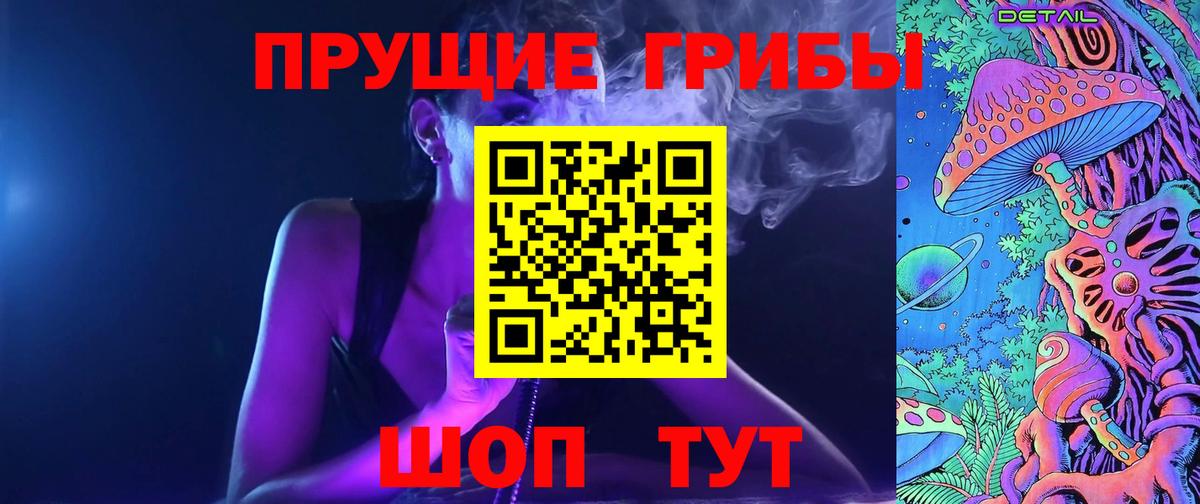 Владикавказ  Псилоцибиновые грибы Cubensis  Вход с VPN 